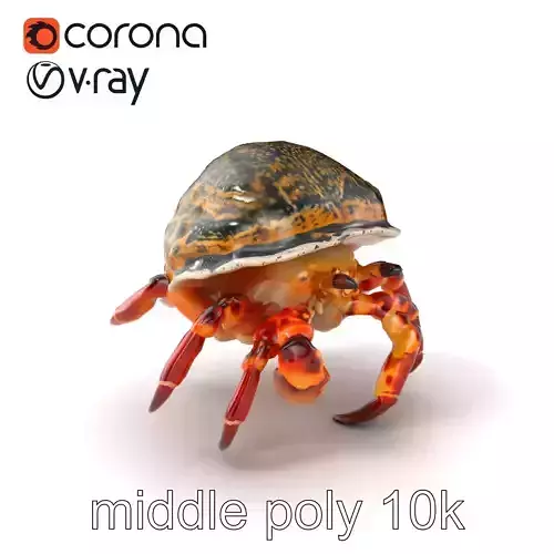 Hermit Crab Detailed Marine Creature model pack Low-poly 3D model