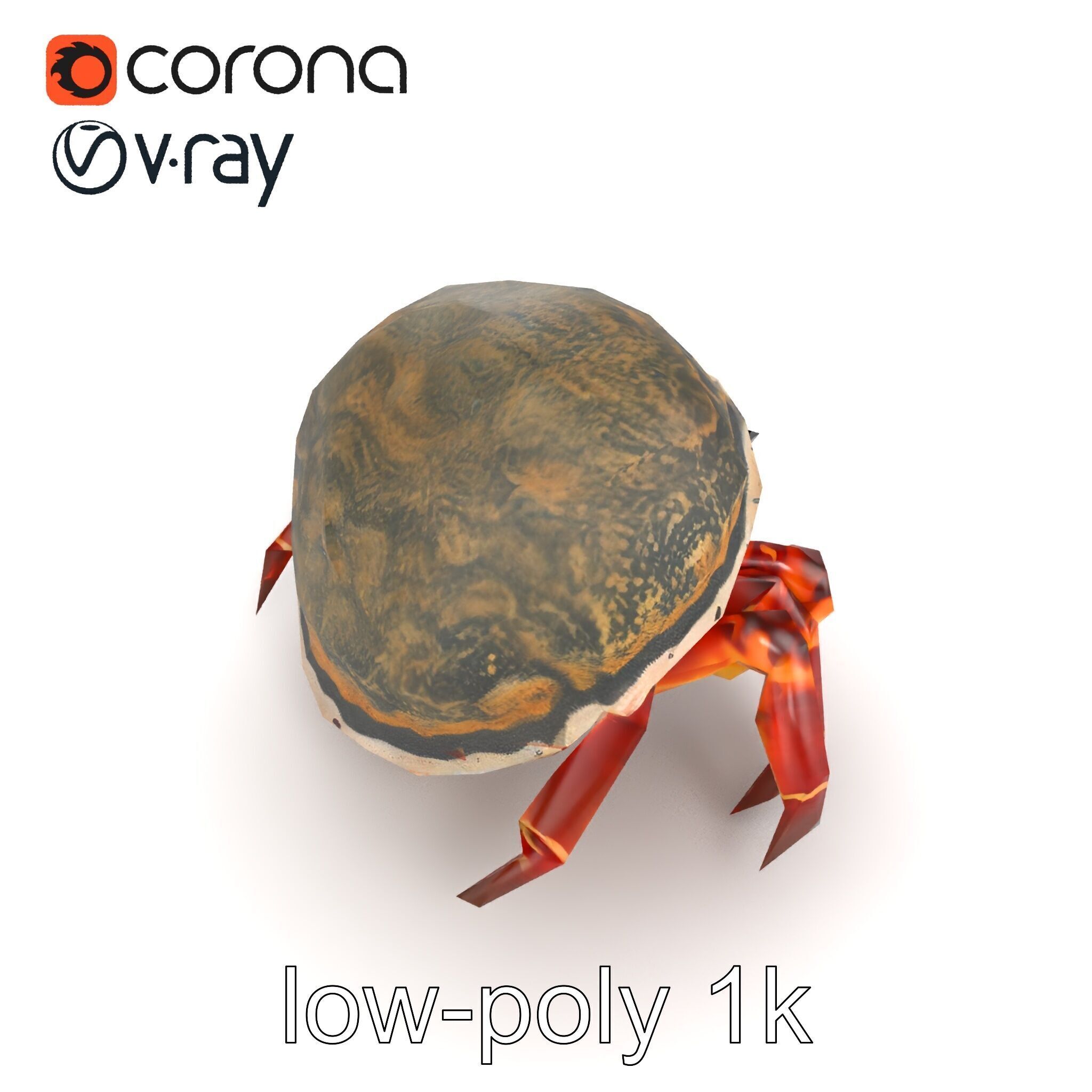 Hermit Crab Detailed Marine Creature model pack Low-poly 3D model_12