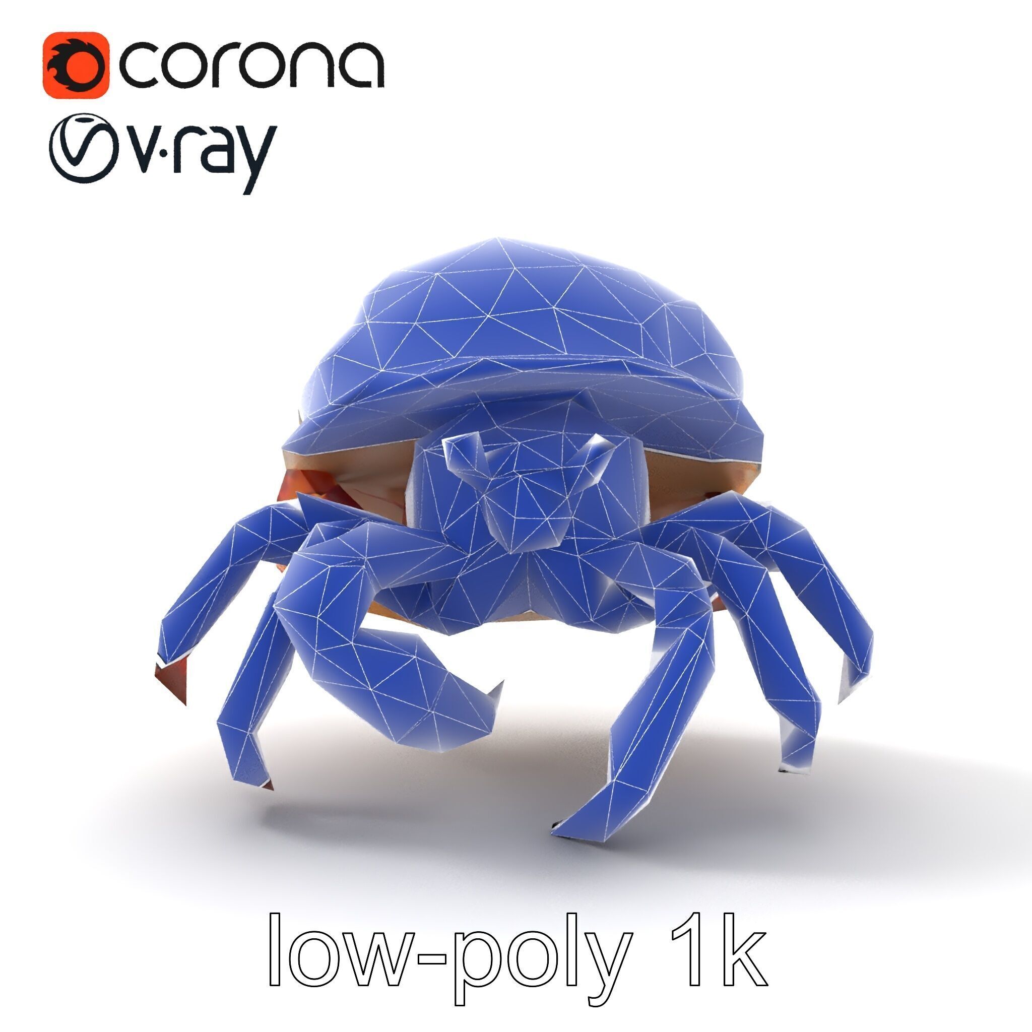 Hermit Crab Detailed Marine Creature model pack Low-poly 3D model_29