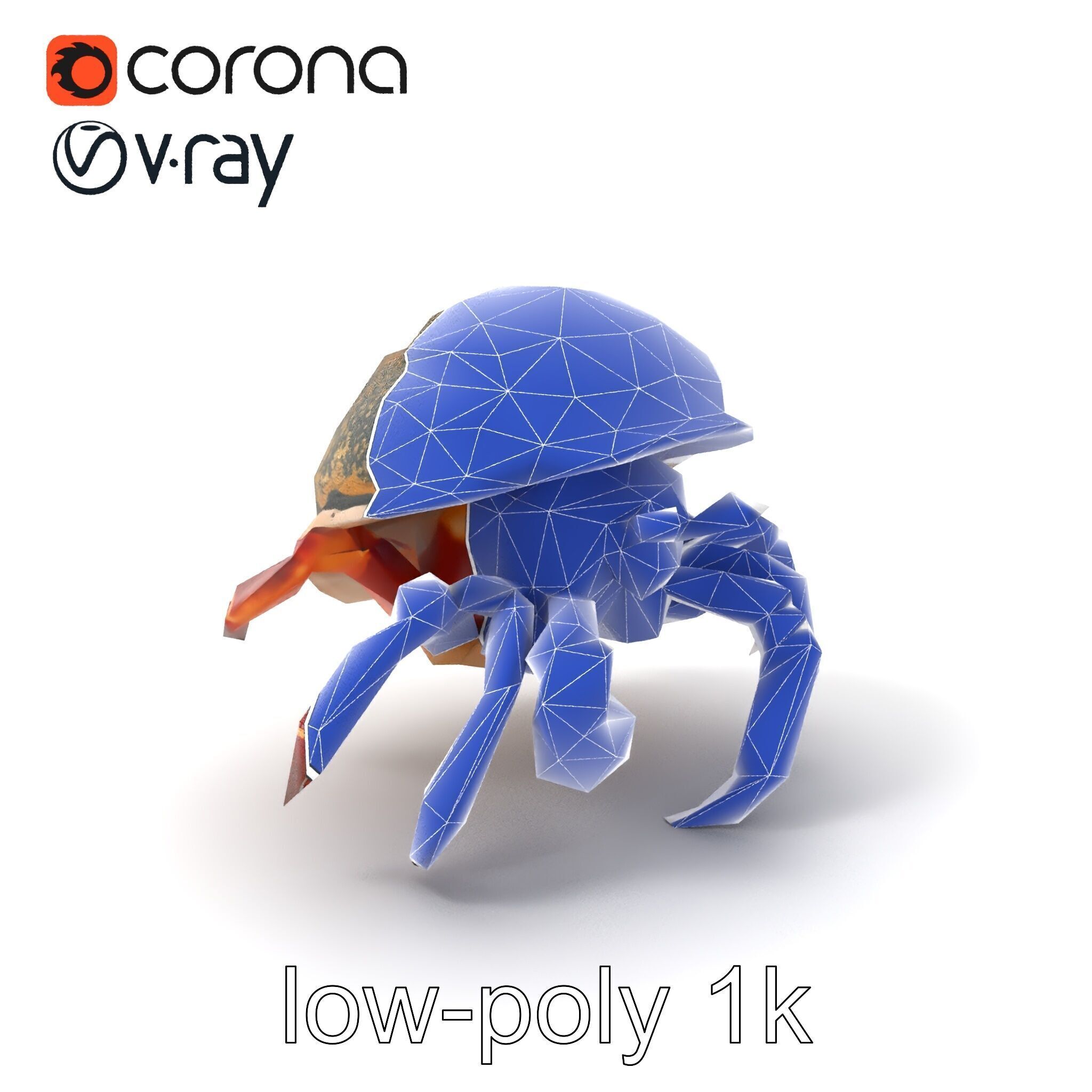 Hermit Crab Detailed Marine Creature model pack Low-poly 3D model_7