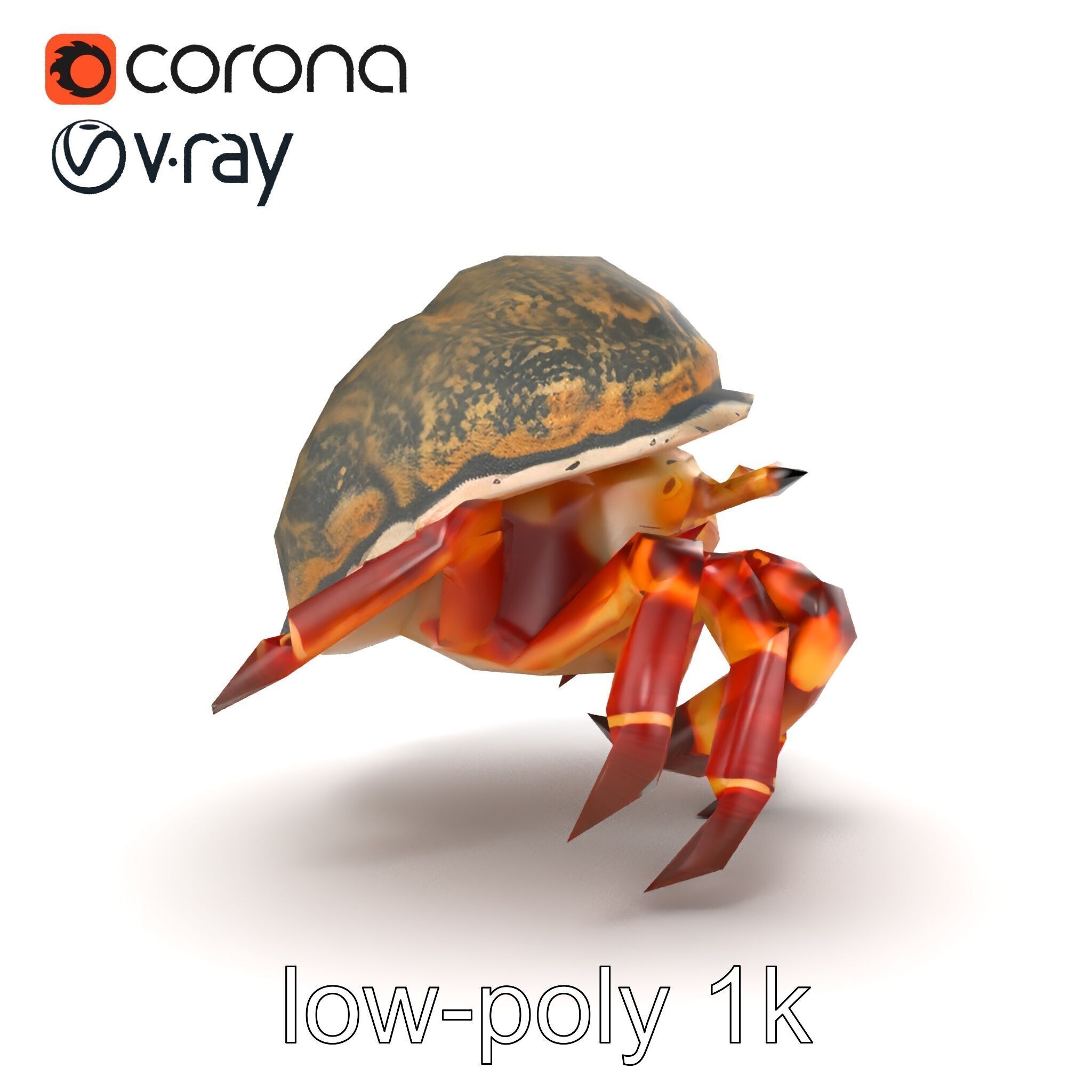 Hermit Crab Detailed Marine Creature model pack Low-poly 3D model_28