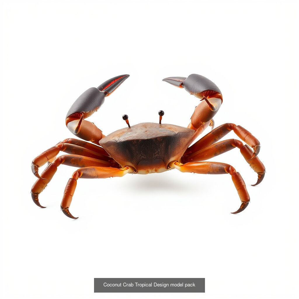 Exquisite Crustacean Collection _9