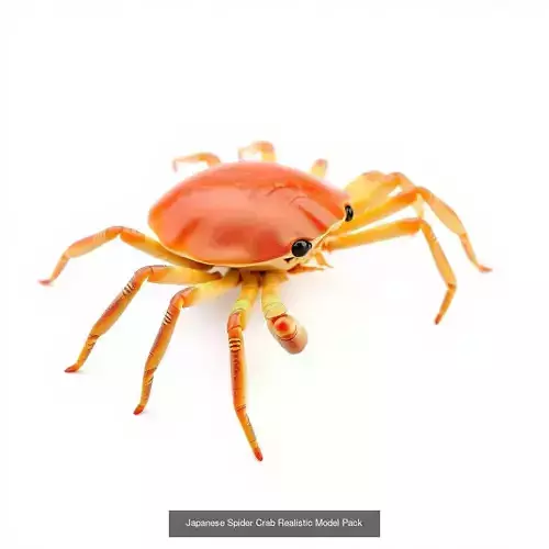 Exquisite Crustacean Collection 