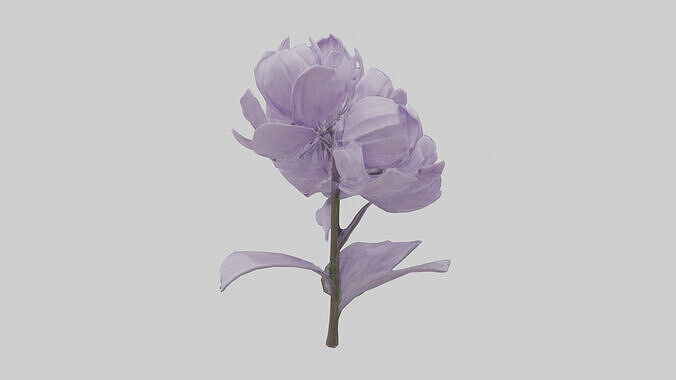 Lilac flower model Low-poly 3D model