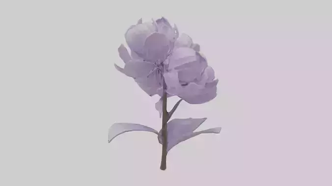 Lilac flower model
