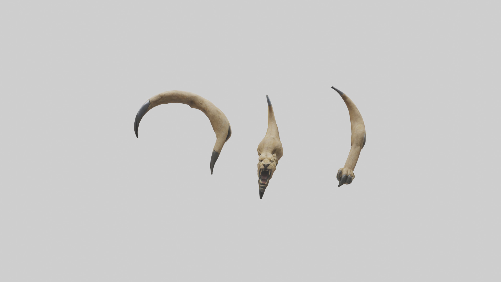 Lion Claws Low-poly 3D model_9