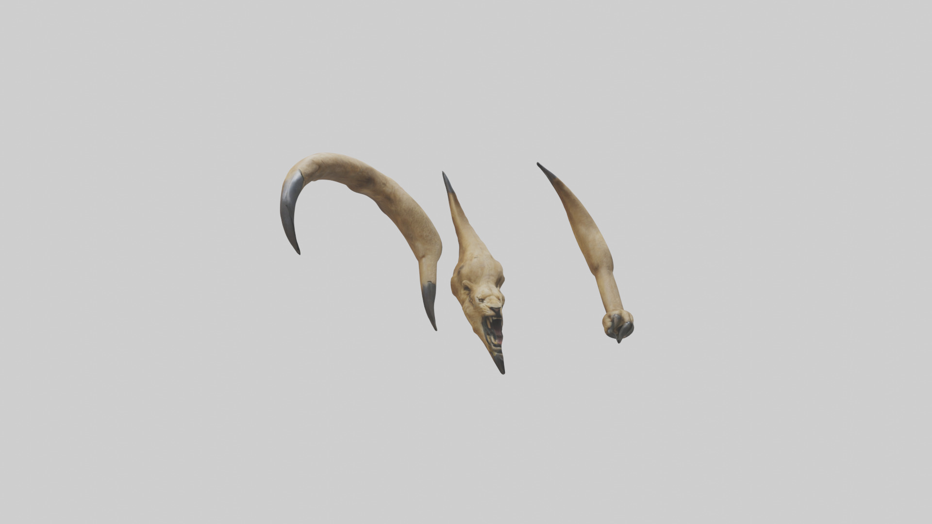 Lion Claws Low-poly 3D model_11