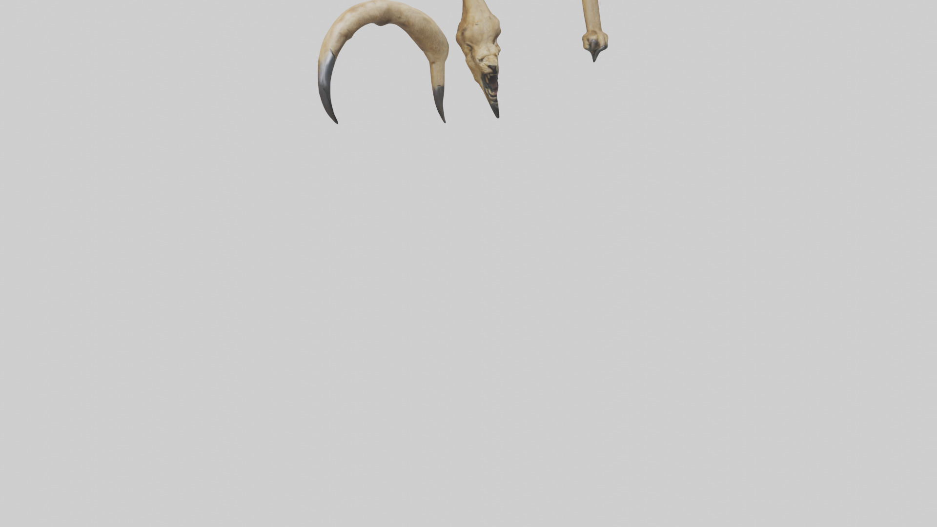 Lion Claws Low-poly 3D model_6