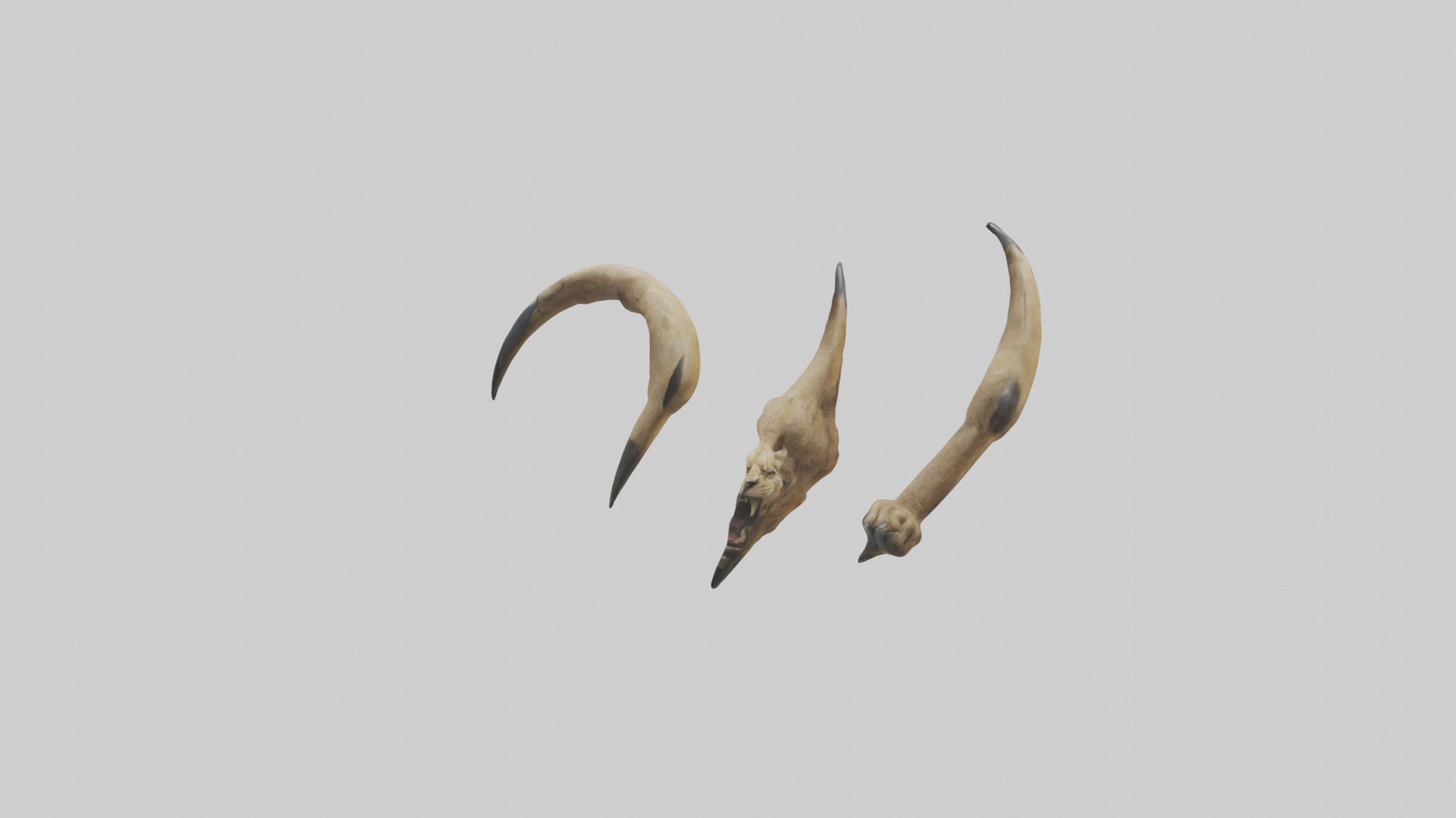 Lion Claws Low-poly 3D model_10