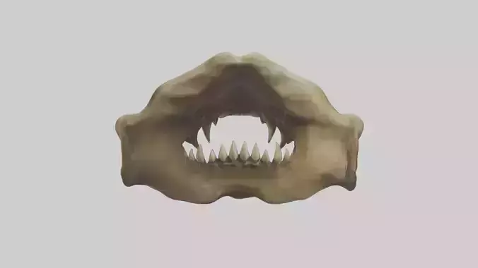 Lion Teeth Low-poly 3D model