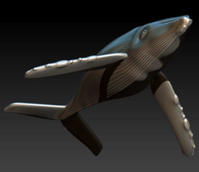 Humpback Whale Pendant  3D print model_8