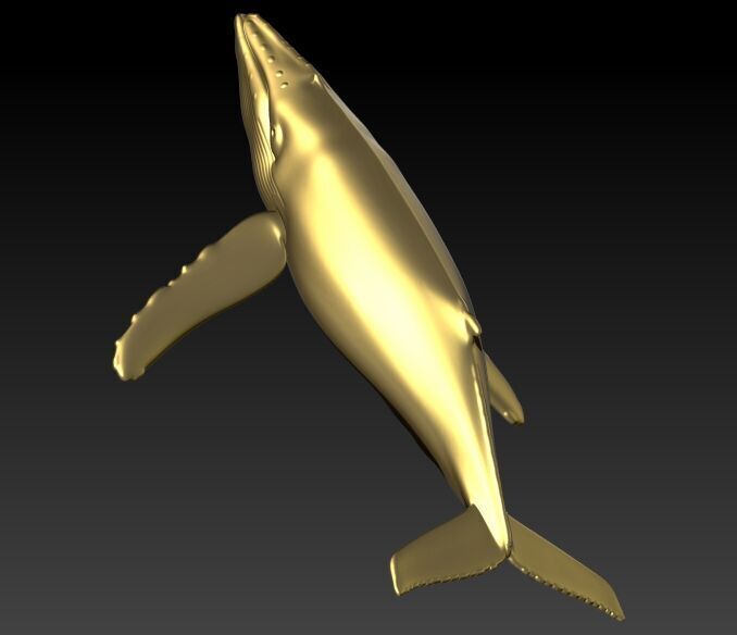 Humpback Whale Pendant  3D print model_4