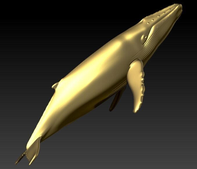 Humpback Whale Pendant  3D print model_5