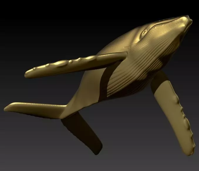 Humpback Whale Pendant  3D print model_0