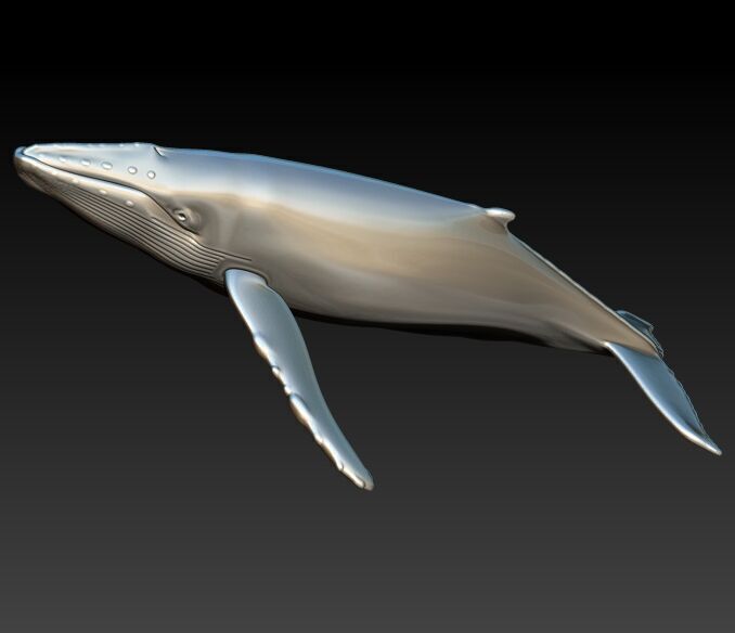 Humpback Whale Pendant  3D print model_6