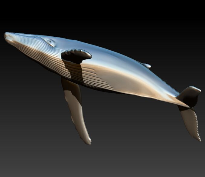 Humpback Whale Pendant  3D print model_7