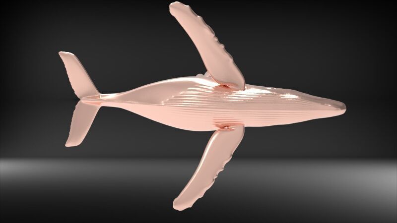 Humpback Whale Pendant  3D print model_16