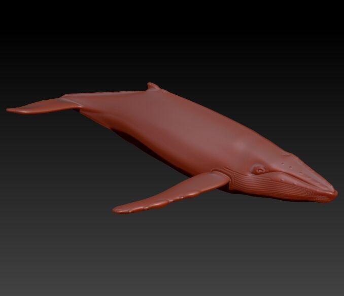 Humpback Whale Pendant  3D print model_3