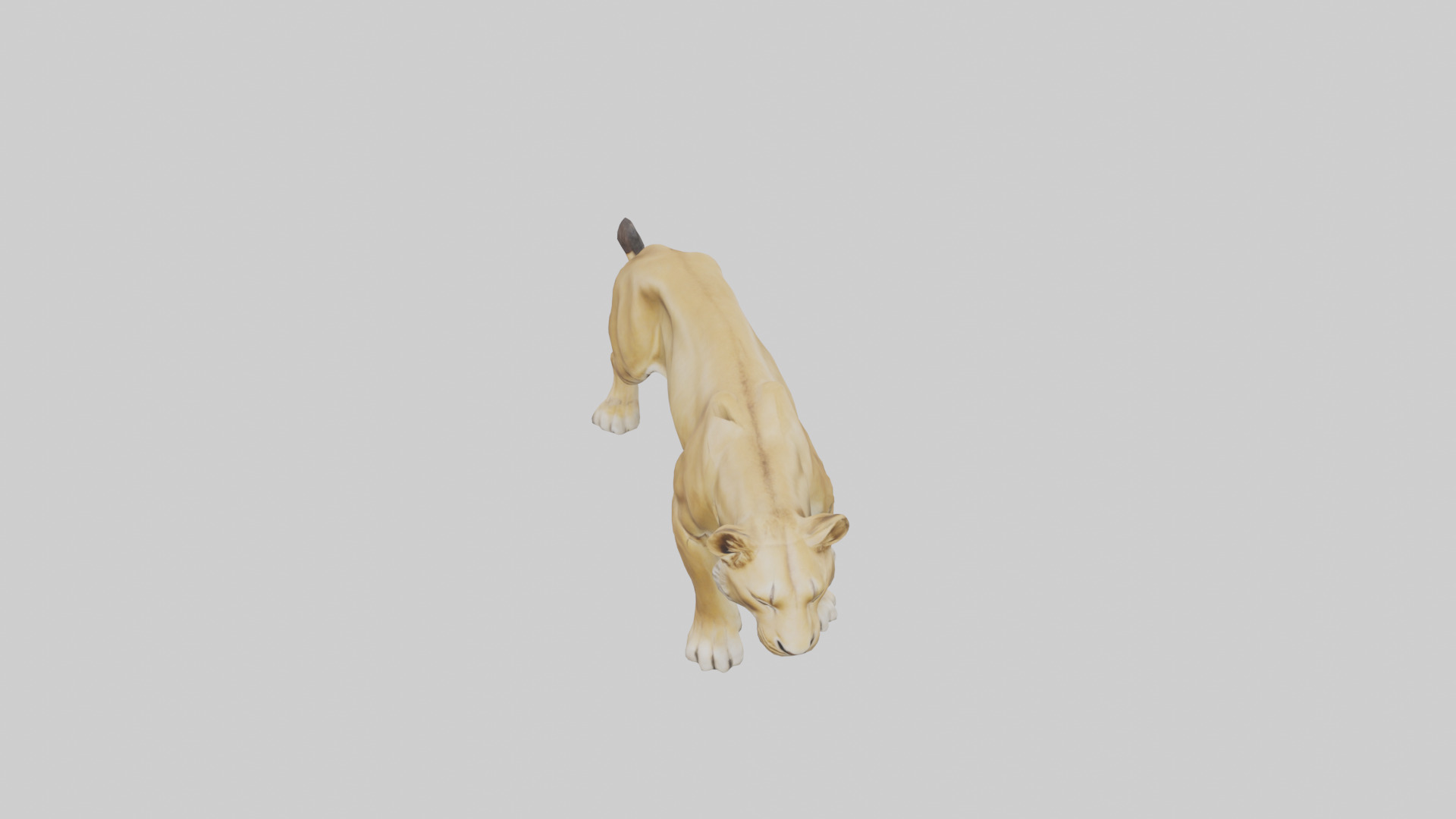 Lioness hunting model Low-poly 3D model_16
