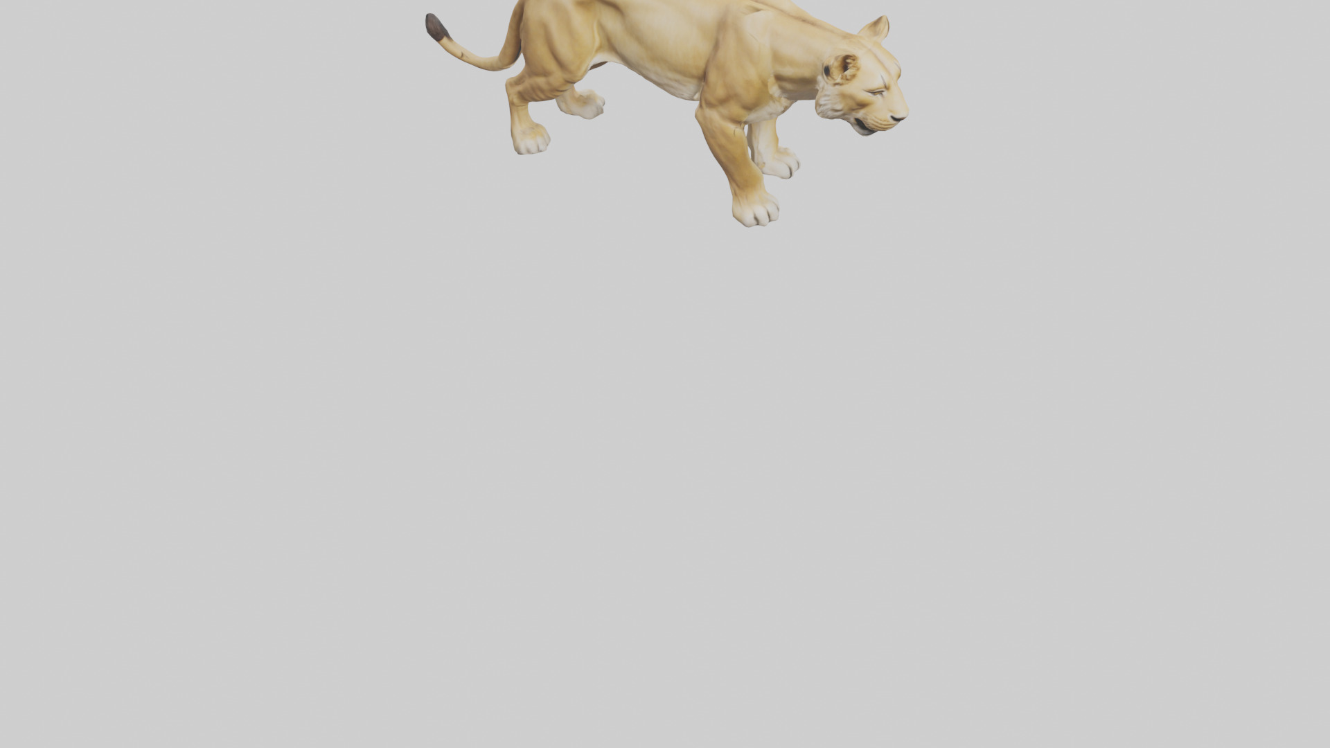 Lioness hunting model Low-poly 3D model_8