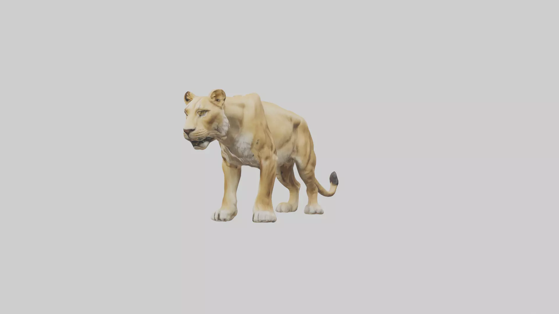 Lioness hunting model Low-poly 3D model_0