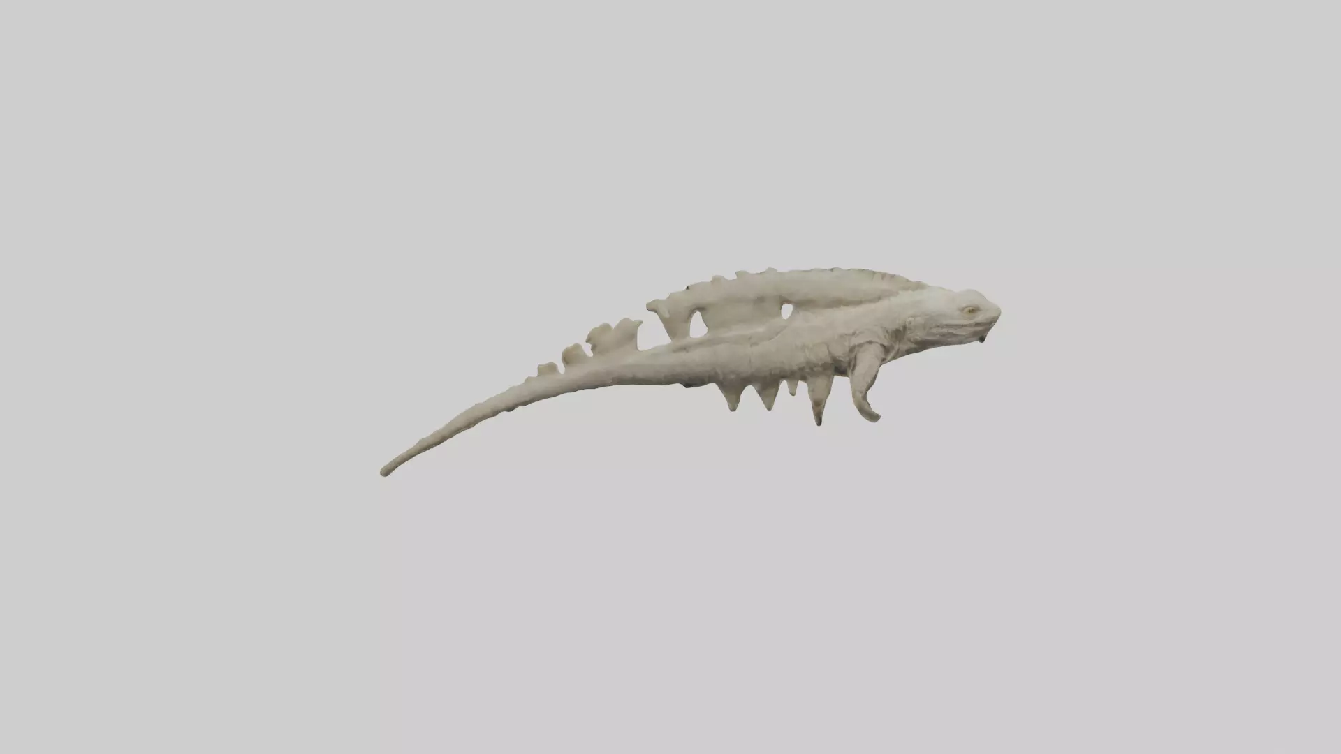 Lizard Spine Low-poly 3D model_0