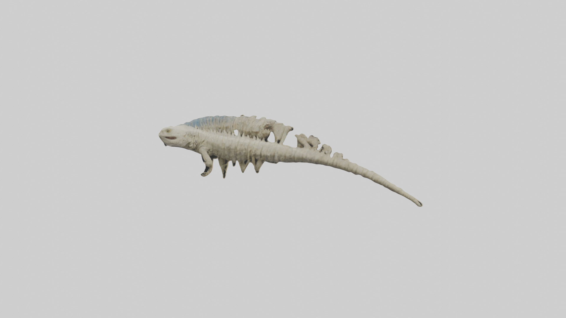 Lizard Spine Low-poly 3D model_9