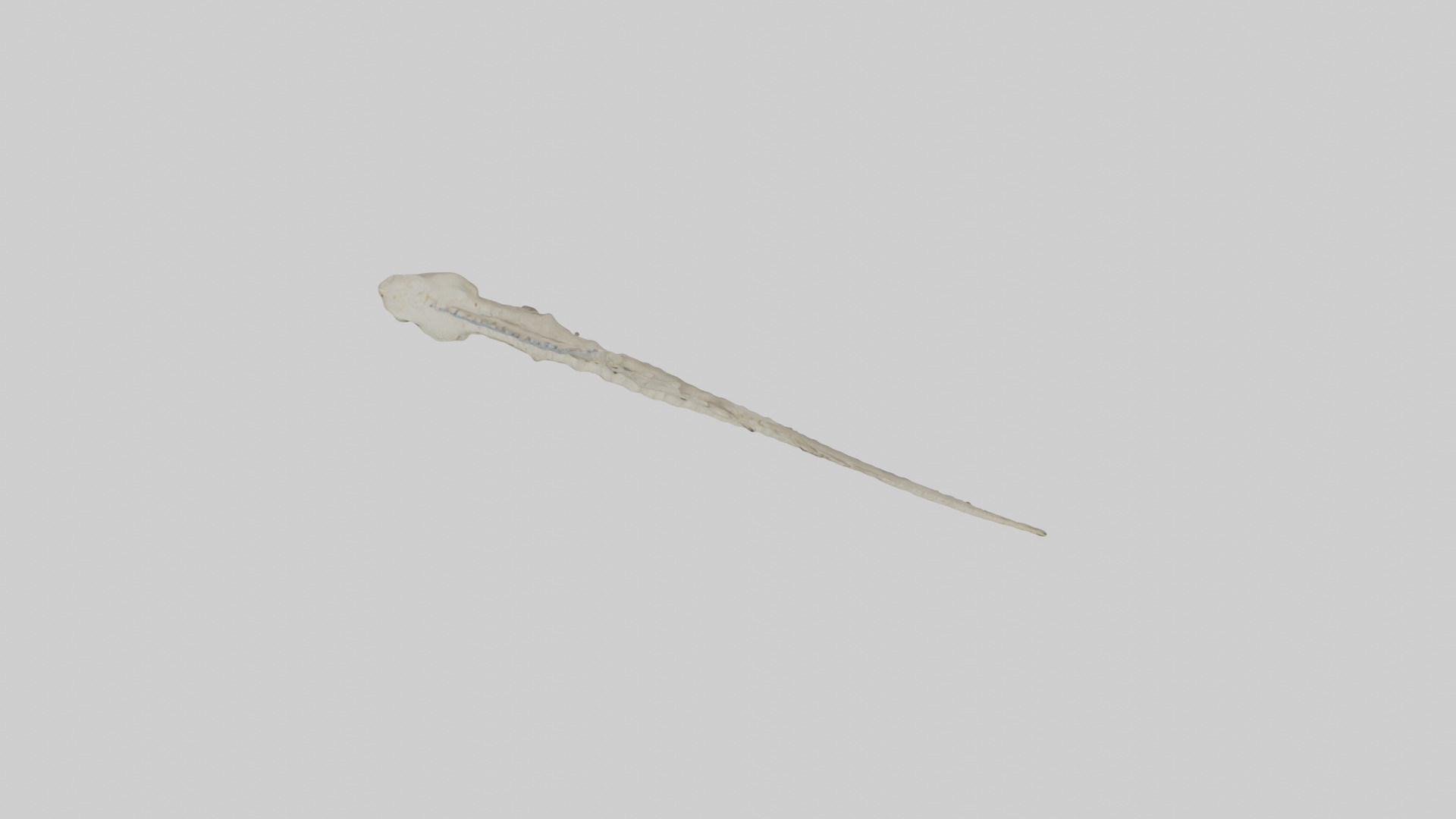 Lizard Spine Low-poly 3D model_14