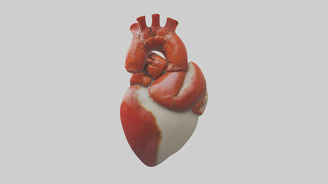 Lobster Heart Low-poly 3D model