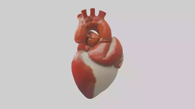 Lobster Heart