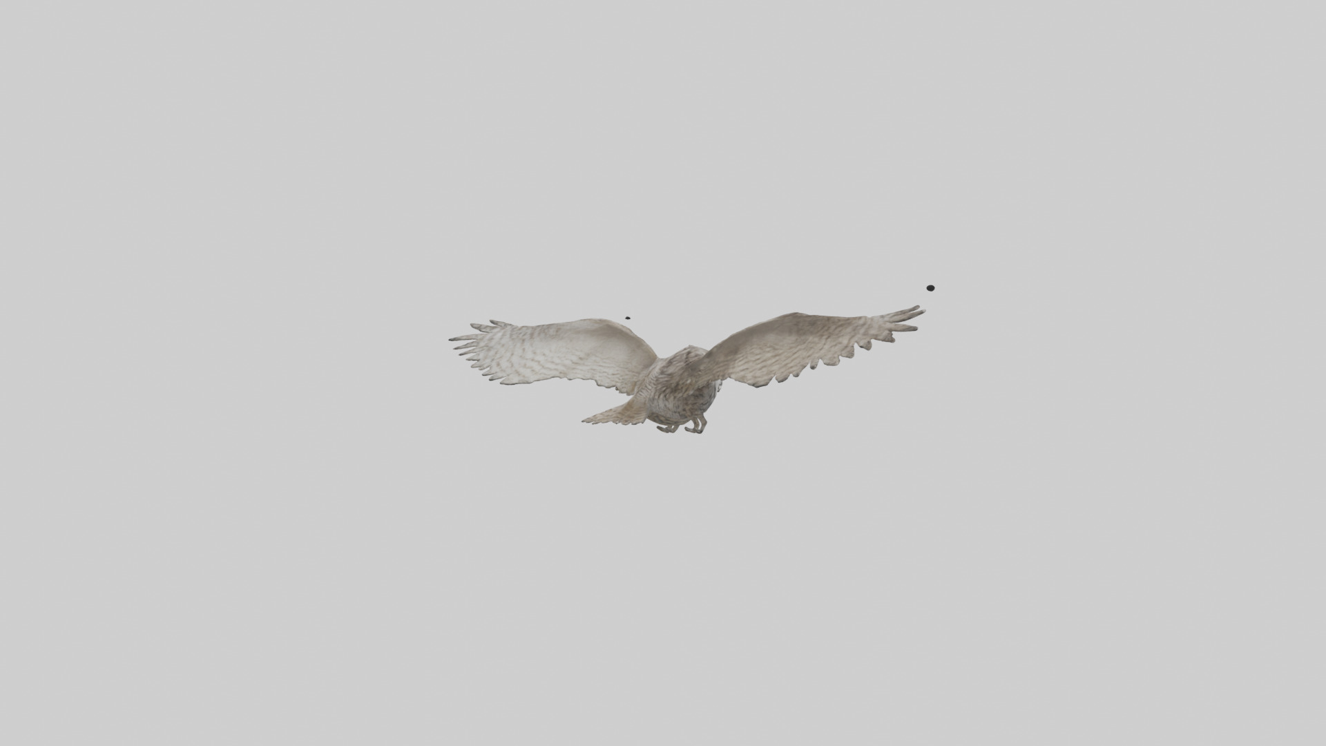 LongEared Owl flying model Low-poly 3D model_1