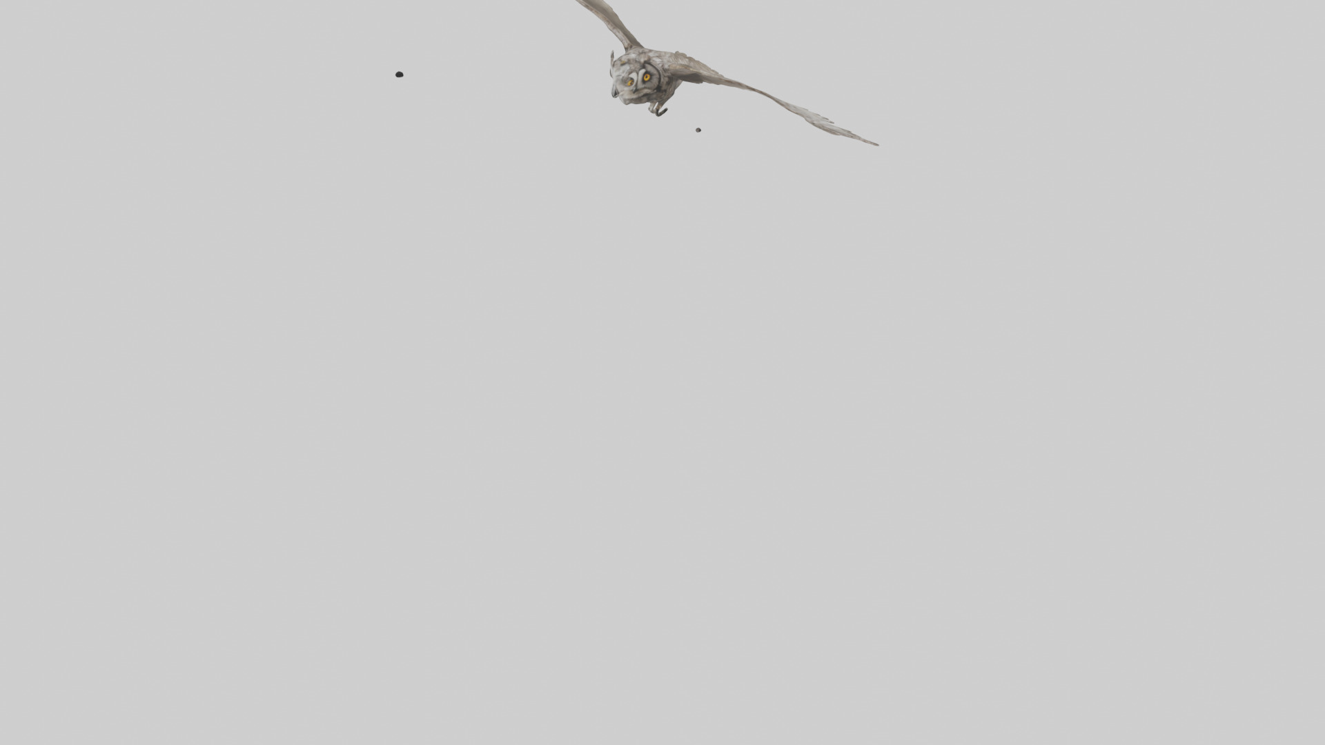 LongEared Owl flying model Low-poly 3D model_6