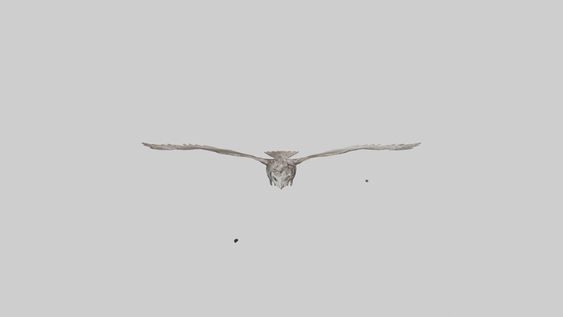 LongEared Owl flying model Low-poly 3D model_18