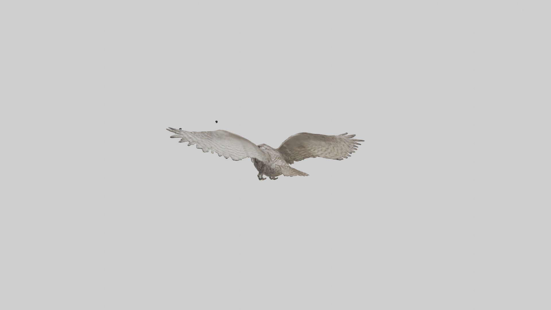 LongEared Owl flying model Low-poly 3D model_8
