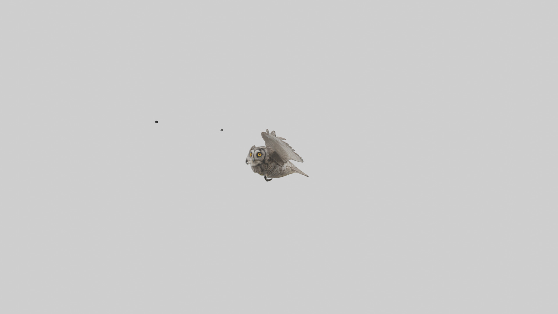 LongEared Owl flying model Low-poly 3D model_9