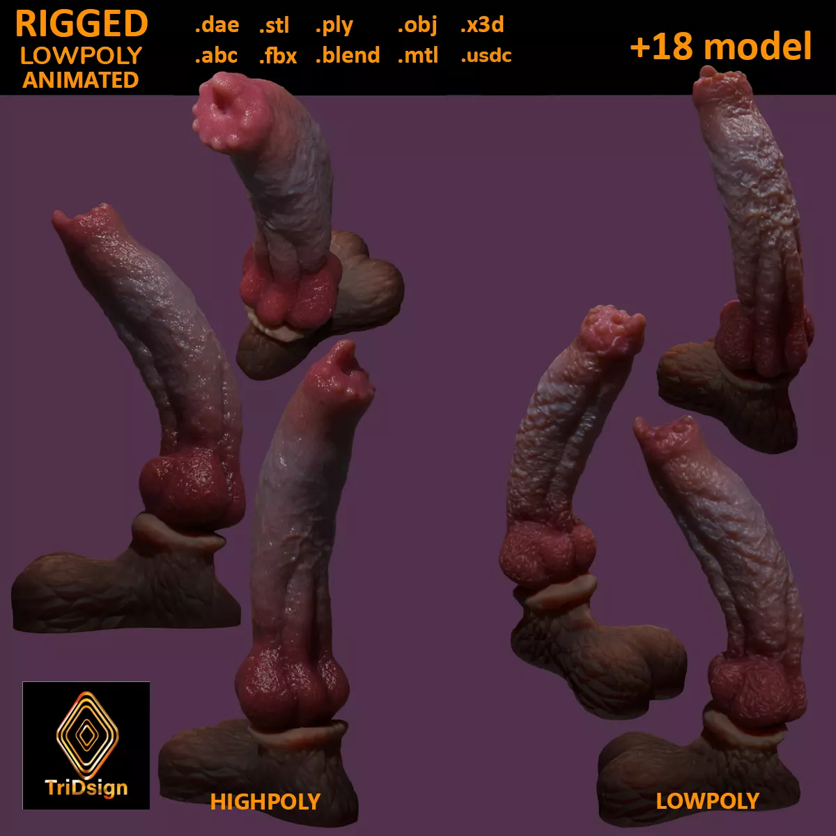 Huge Dog Penis Rigged Low-poly 3D model_0