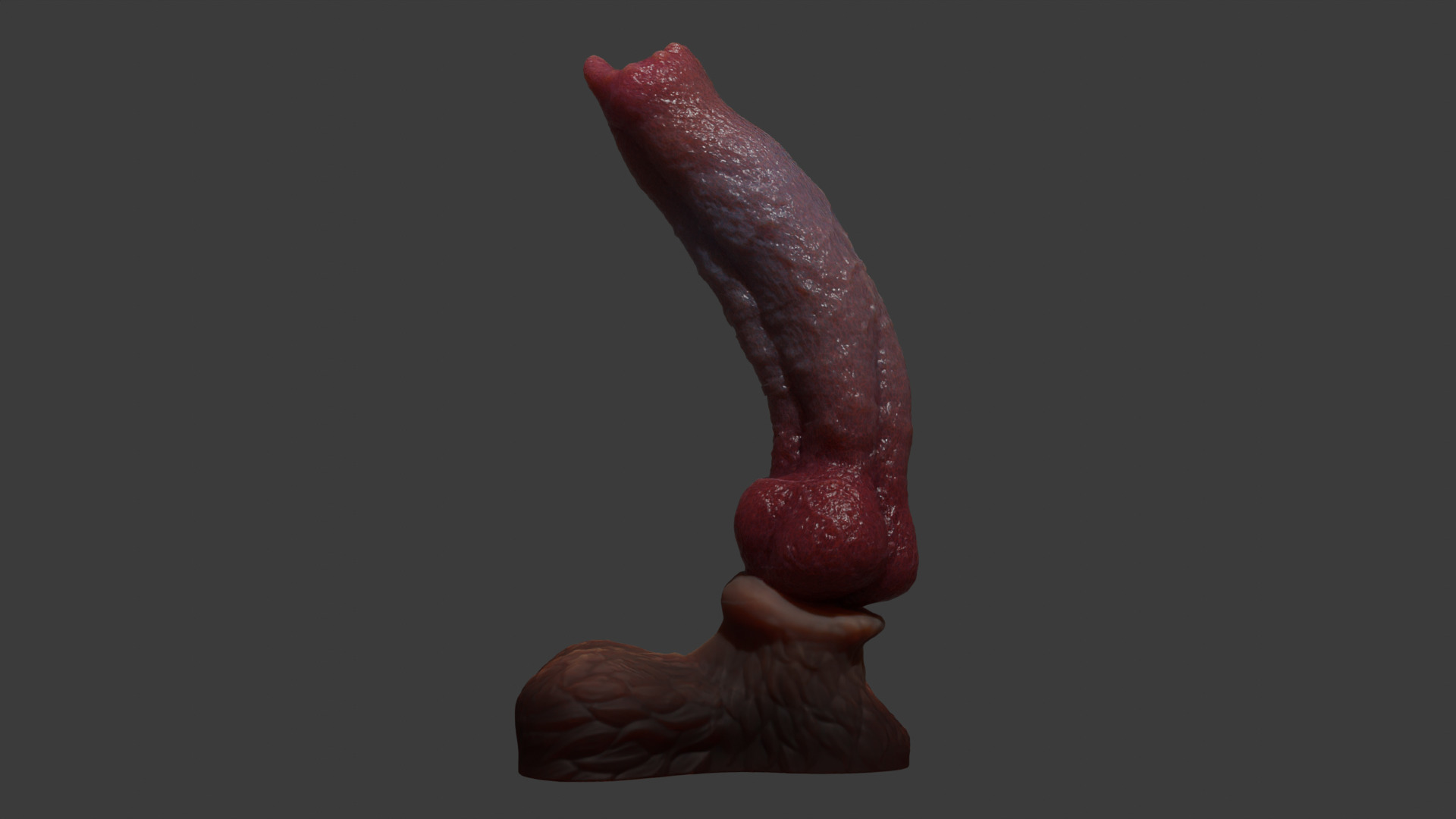 Huge Dog Penis Rigged Low-poly 3D model_3
