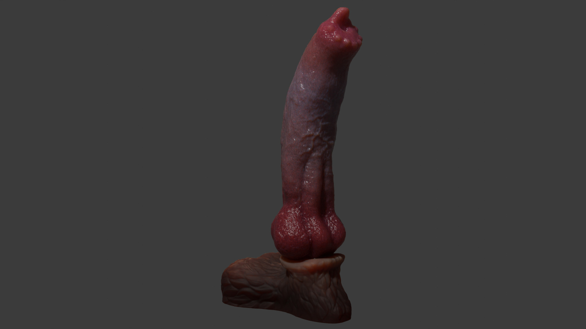 Huge Dog Penis Rigged Low-poly 3D model_5