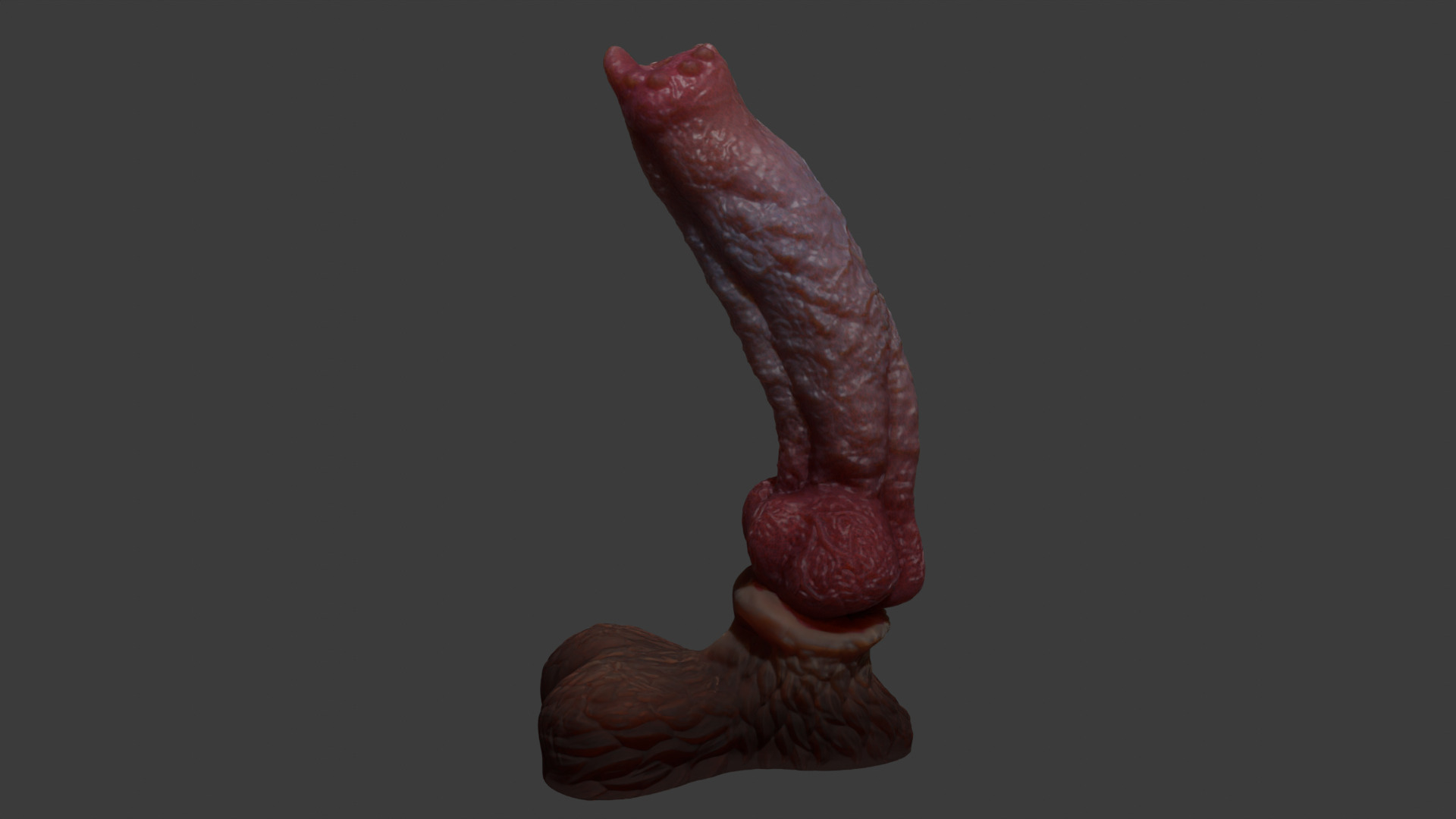 Huge Dog Penis Rigged Low-poly 3D model_4