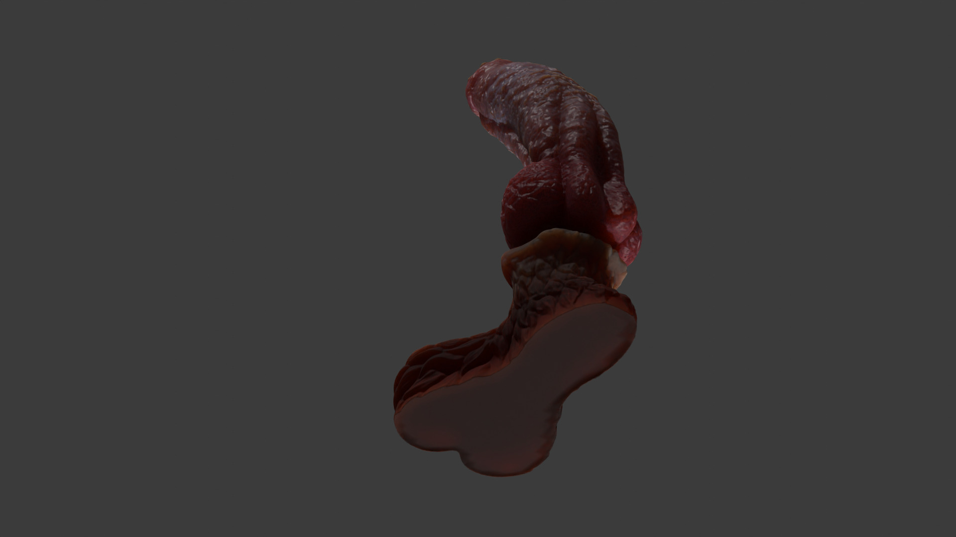 Huge Dog Penis Rigged Low-poly 3D model_9