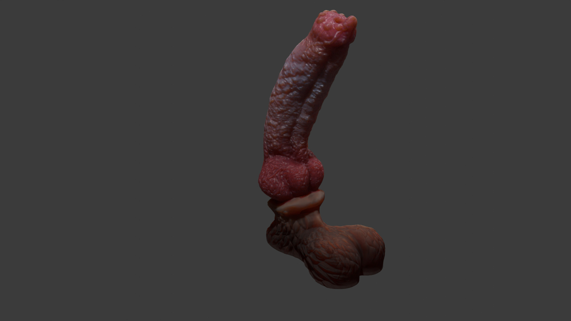 Huge Dog Penis Rigged Low-poly 3D model_6
