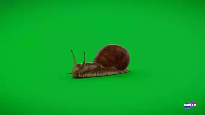 Garden Snail Low-poly 3D model