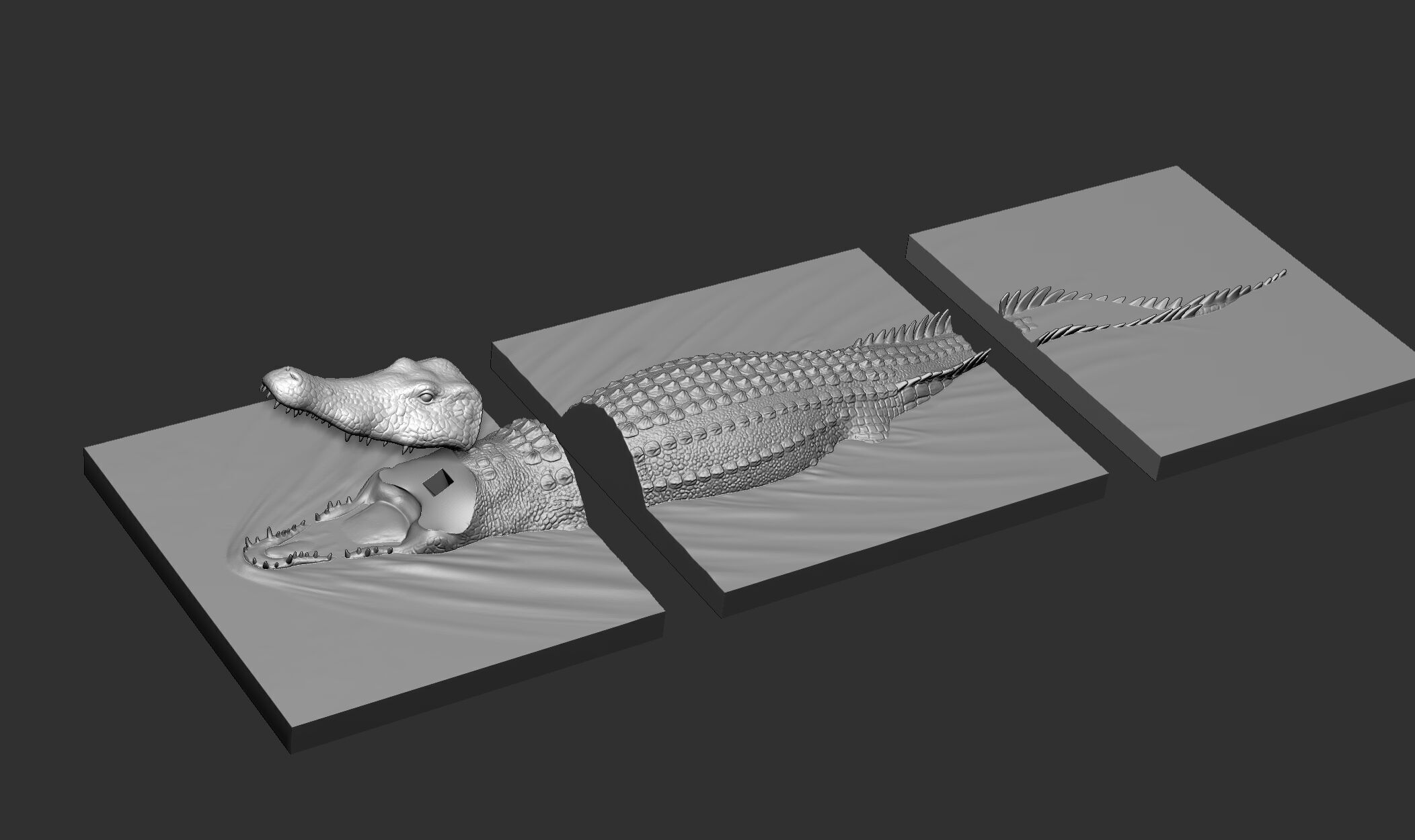 crocodile for 3d printing  3D print model_15
