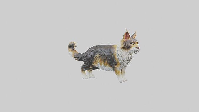 Maine Coon Cat statue model Low-poly 3D model