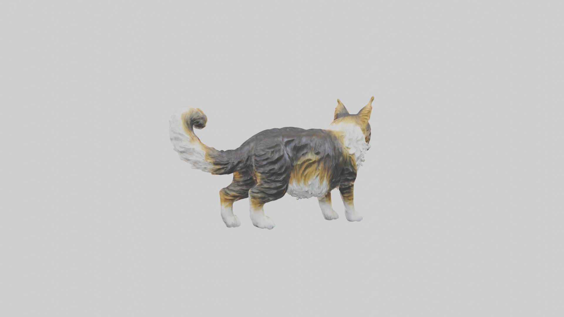 Maine Coon Cat statue model Low-poly 3D model_3