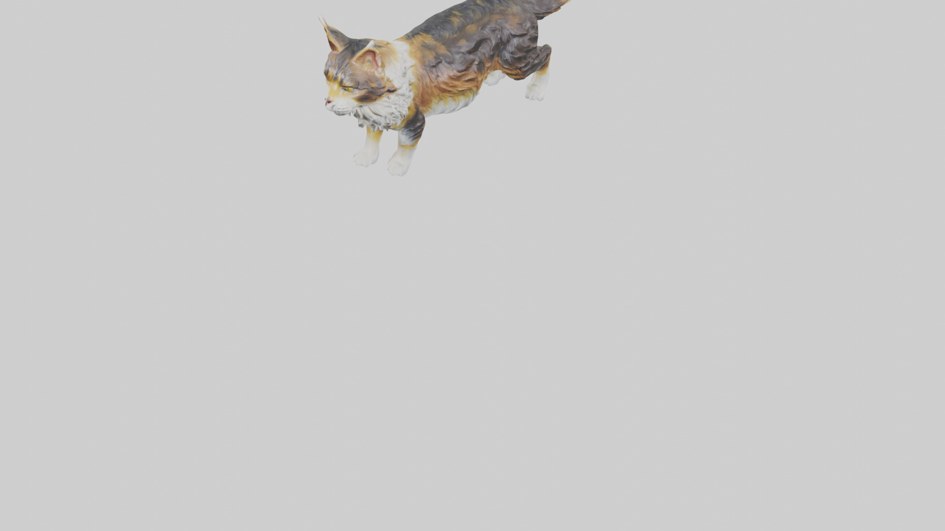 Maine Coon Cat statue model Low-poly 3D model_6