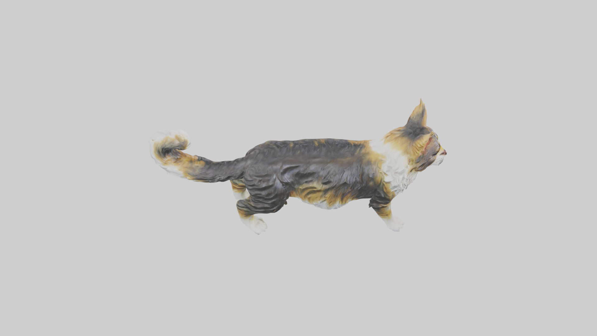 Maine Coon Cat statue model Low-poly 3D model_18