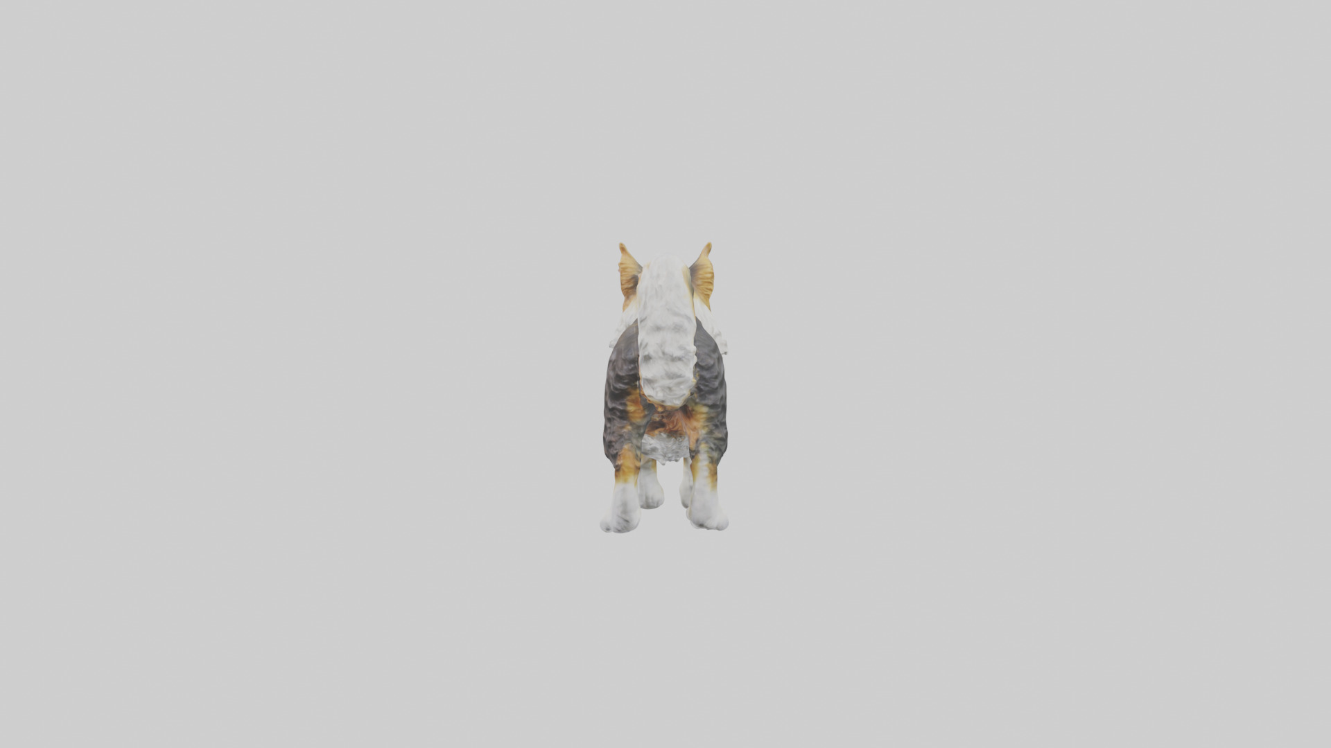 Maine Coon Cat statue model Low-poly 3D model_1