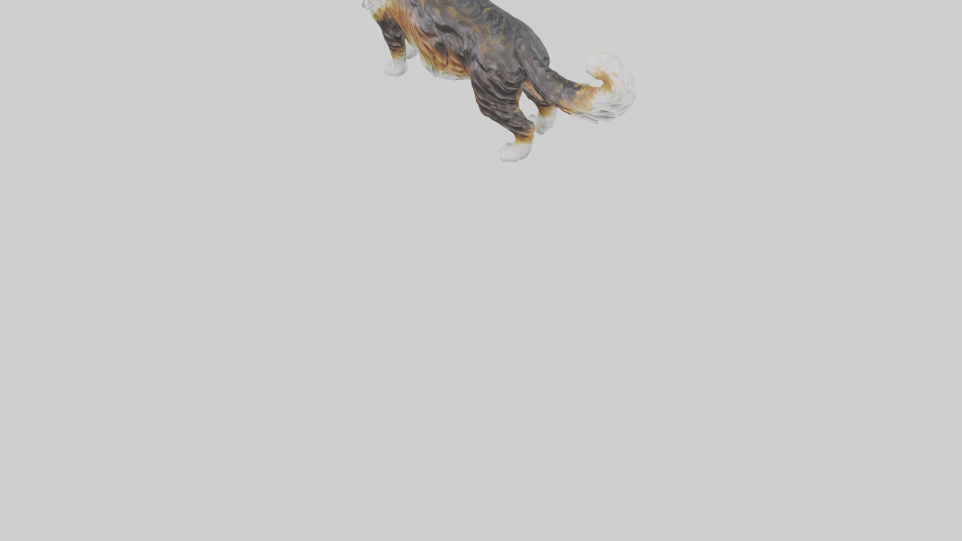 Maine Coon Cat statue model Low-poly 3D model_4