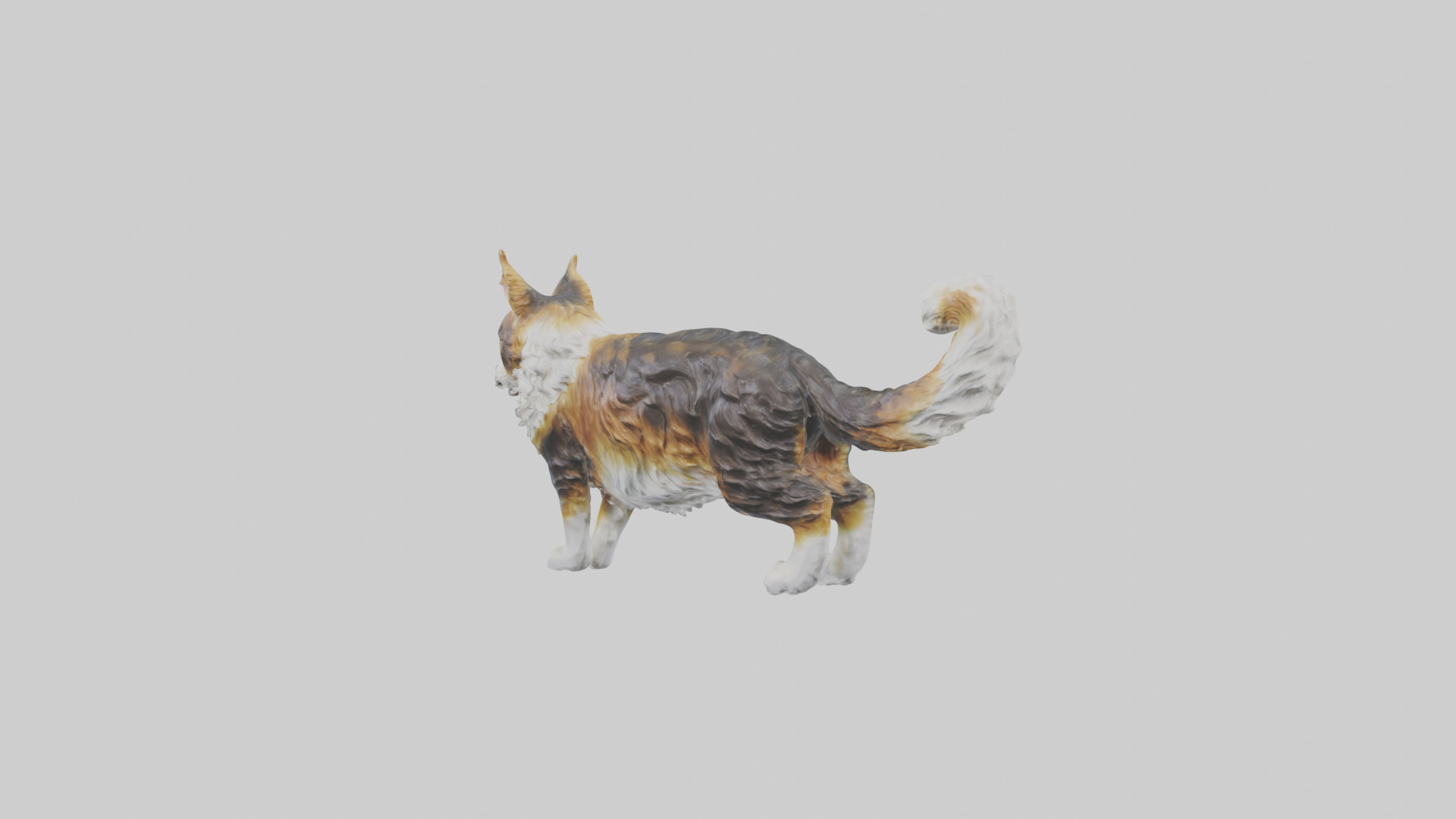 Maine Coon Cat statue model Low-poly 3D model_2